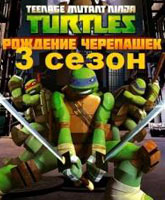 Teenage Mutant Ninja Turtles season 3 / - 3 